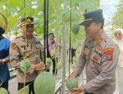 Polsek Tarik Dukung Ketahanan Pangan Lewat Panen Melon Hidroponik Bersama Petani Gempolklutuk