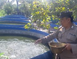 Polsek Tulangan Giatkan Katahanan Pangan Lewat Pendampingan Perikanan Desa