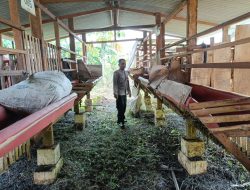 Polsek Tulangan Polresta Sidoarjo Dukung Ketahanan Pangan Lewat Program P2B di Desa Kedondong