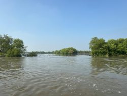 Sepuluh Tahun Tenggelam, Bupati Sidoarjo Upayakan Pulihkan 2.000 Hektar Tambak Kalanganyar