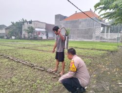 Sinergi Polisi dan Petani, Aiptu Subandik Dorong Kemandirian Pangan di Desa Jiken