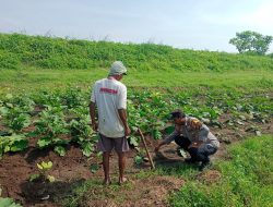 Sinergi Polri dan Warga, Optimalisasi Pekarangan Jadi Lahan Pangan Bergizi