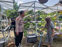 Swadaya Mandiri Warga Perumahan MCA Kembangkan Kebun Hidroponik, Polisi Beri Apresiasi