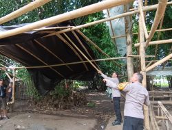 Tegas Berantas Perjudian, Polisi Bongkar Lima Arena Sabung Ayam di Jember