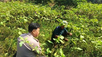 Warga Desa Permisan Dapat Apresiasi Dari Polsek Jabon Atas Inisiatif Ketahan Pangan