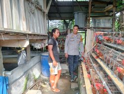 Wujud Polisi Cinta Petani, Bhabinkamtibmas Desa Tulangan Aktif Dukung Program Ketahanan Pangan Nasional