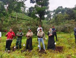 Administratur Perhutani KPH Bondowoso dan Bupati Situbondo Tanaman Bibit Kopi Yellow Cattura Bersama