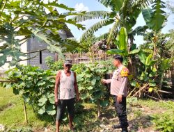 Aiptu Iswandi Sambangi Warga Penggerak Ketahan Pangan di Prambon