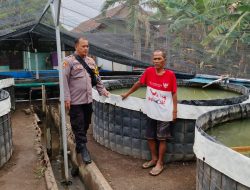 Ajak Warga Manfaatkan Pekarangan Kosong, Polsek Porong Wujudkan Ketahanan Pangan Melalui Budidaya Lele