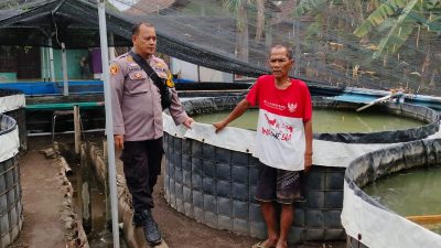 Ajak Warga Manfaatkan Pekarangan Kosong, Polsek Porong Wujudkan Ketahanan Pangan Melalui Budidaya Lele