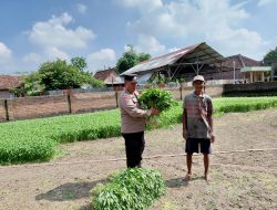 Aktif Dukung Ketahanan Pangan, Polsek Tulangan Patroli Sambang Desa Pangkemiri