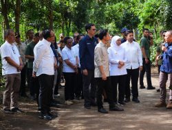 Angkat Potensi Kopi Indonesia Wakil Presiden Gibran Kunjungi PMO Kopi Ijen Perhutani KPH Bondowoso