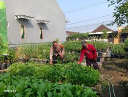 Bersama Warga, Bhabinkamtibmas Kenongo Aktifkan Pekarangan Jadi Lumbung Pangan