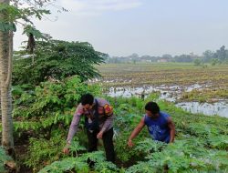 Bhabinkamtibmas Desa Balongtani Tinjau Lahan Pekarangan Warga untuk Dukung Ketahan Pangan Bergizi