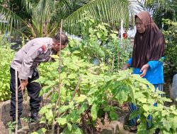 Bhabinkamtibmas Desa Buncitan Polsek Sedati Dorong Peran Warga Kelolah Pekarangan Pangan Bergizi