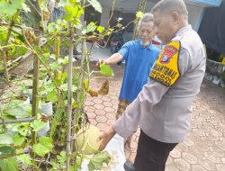 Polisi Cinta Petani, Bhabinkamtibmas Desa Grogol Dorong Swasembada Pangan Melalui Ketahanan Pangan Bergizi