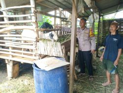 Bhabinkamtibmas Desa Kenongo Tinjau Lahan Peternakan Kambing untuk Perkuat Program Ketahanan Pangan