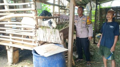 Bhabinkamtibmas Desa Kenongo Tinjau Lahan Peternakan Kambing untuk Perkuat Program Ketahanan Pangan