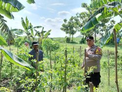 Bhabinkamtibmas Desa Pangkemiri Pantau Lahan Sayur untuk Dukung Ketahanan Pangan