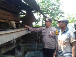 Bhabinkamtibmas Desa Pangkemiri Polsek Tulangan Tinjau Lahan Peternakan Wujudkan Ketahanan Pangan Bergizi