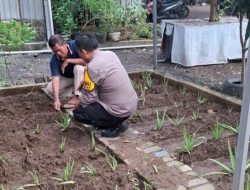Bhabinkamtibmas Desa Randegan Tinjau Lahan Perkebunan Lida Buaya, Dukung Program Ketahanan Pangan Bergizi