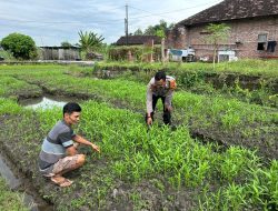 Bhabinkamtibmas Desa Wonoplintahan Bersama Warga Optimalkan Kelola P2B