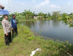 Bhabinkamtibmas Glagaharum Wujudkan Ketahanan Pangan Lewat Budidaya Ikan Nila