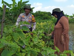 Bhabinkamtibmas Kalidawir Optimalkan Ketahanan Pangan Lewat Pekarangan Bergizi