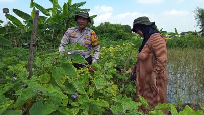 Bhabinkamtibmas Kalidawir Optimalkan Ketahanan Pangan Lewat Pekarangan Bergizi