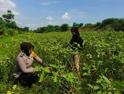 Bhabinkamtibmas Kedungpandan Tinjau Lahan Pekarangan untuk Dukung Ketahanan Pangan Bergizi