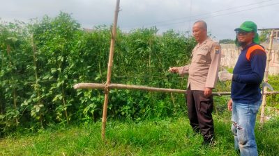 Bhabinkamtibmas Kemantren Dukung Ketahanan Pangan, Tinjau Perkebunan Kacang Panjang Warga