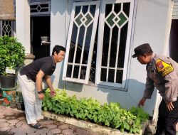 Bhabinkamtibmas Pangkemiri Aktif Dukung Ketahanan Pangan, Cek Langsung Lahan Sayur Warga