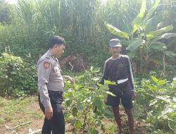 Bhabinkamtibmas Permisan Tinjau Lahan Pekarangan untuk Program Ketahanan Pangan di Jabon