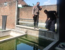 Bhabinkamtibmas Polsek Porong Tinjau Program Ketahanan Pangan Budidaya Ikan Mujaer