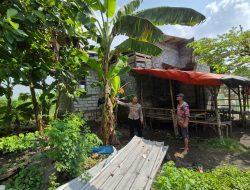 Bhabinkamtibmas Polsek Wonoayu Dampingi Warga Kelolah Tanaman Pisang untuk Ketahanan Pangan