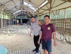 Bhabinkamtibmas Sambangi Desa Segodobancang, Dukung Ketahanan Pangan Peternakan Bebek