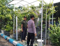 Bhabinkamtibmas Sambangi Warga Penggerak Ketahanan Pangan di Wilayah Kecamatan Sedati