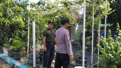 Bhabinkamtibmas Sambangi Warga Penggerak Ketahanan Pangan di Wilayah Kecamatan Sedati