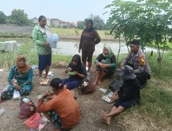 Bhabinkamtibmas Semambung Tinjau Lahan Ketahanan Pangan, Dukung Swasembada Sayur di Sidoarjo