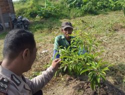 Bhabinkamtibmas Tambak Kalisogo Tinjau Lahan Pekarangan Sayuran Warga Dukung Program Ketahanan Pangan