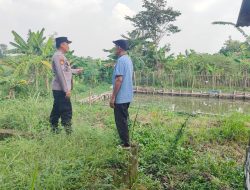 Bhabinkamtibmas Tanjungsari Dorong Ketahanan Pangan Melalui Pembibitan Ikan Nila