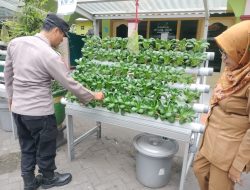 Bhabinkamtibmas Tenggulunan Polsek Candi Cek Ketahanan Pangan Melalui Program Hidroponik P2B