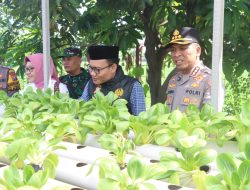 Budidaya Pakcoy Secara Hidroponik, Kapolres Sidoarjo: Efektif Wujudkan Swasembada Pangan Masyarakat