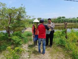 Dorong Ketahanan Pangan, Aiptu F Rozi Cek Lahan Pekarangan Sayuran di Desa Permisan