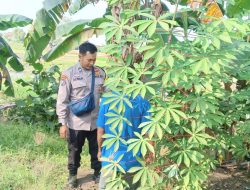 Dukung Ketahanan Pangan, Polri Aktif Pantau Lahan Pekarangan di Desa Balongtani