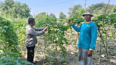 Dukung Ketahanan Pangan, Polsek Porong Dampingi Warga Kelola Pekarangan Pangan Bergizi