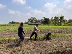 Kanit Binmas Polsek Krembung Dampingi Petani Garap Lahan Ketahanan Pangan