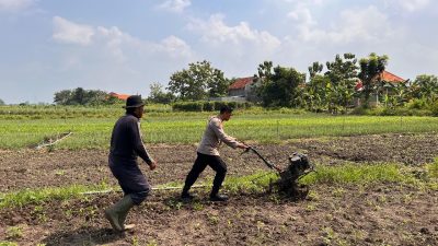 Kanit Binmas Polsek Krembung Dampingi Petani Garap Lahan Ketahanan Pangan