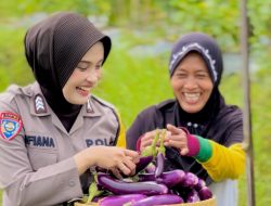 Bhabinkamtibmas Kelurahan Gayamdompo Dukung Kemandirian Pangan Warga Lewat Panen Terong