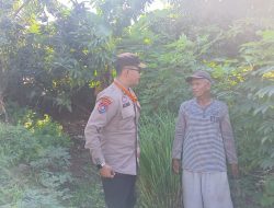 Bhabinkamtibmas Desa Balongtani Tinjau Lahan Pekarangan untuk Dukung Ketahanan Pangan Bergizi